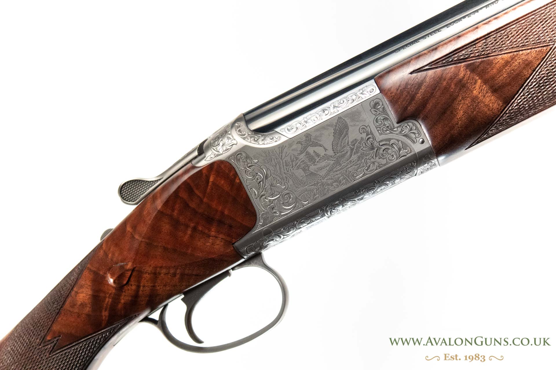 Gun_Image