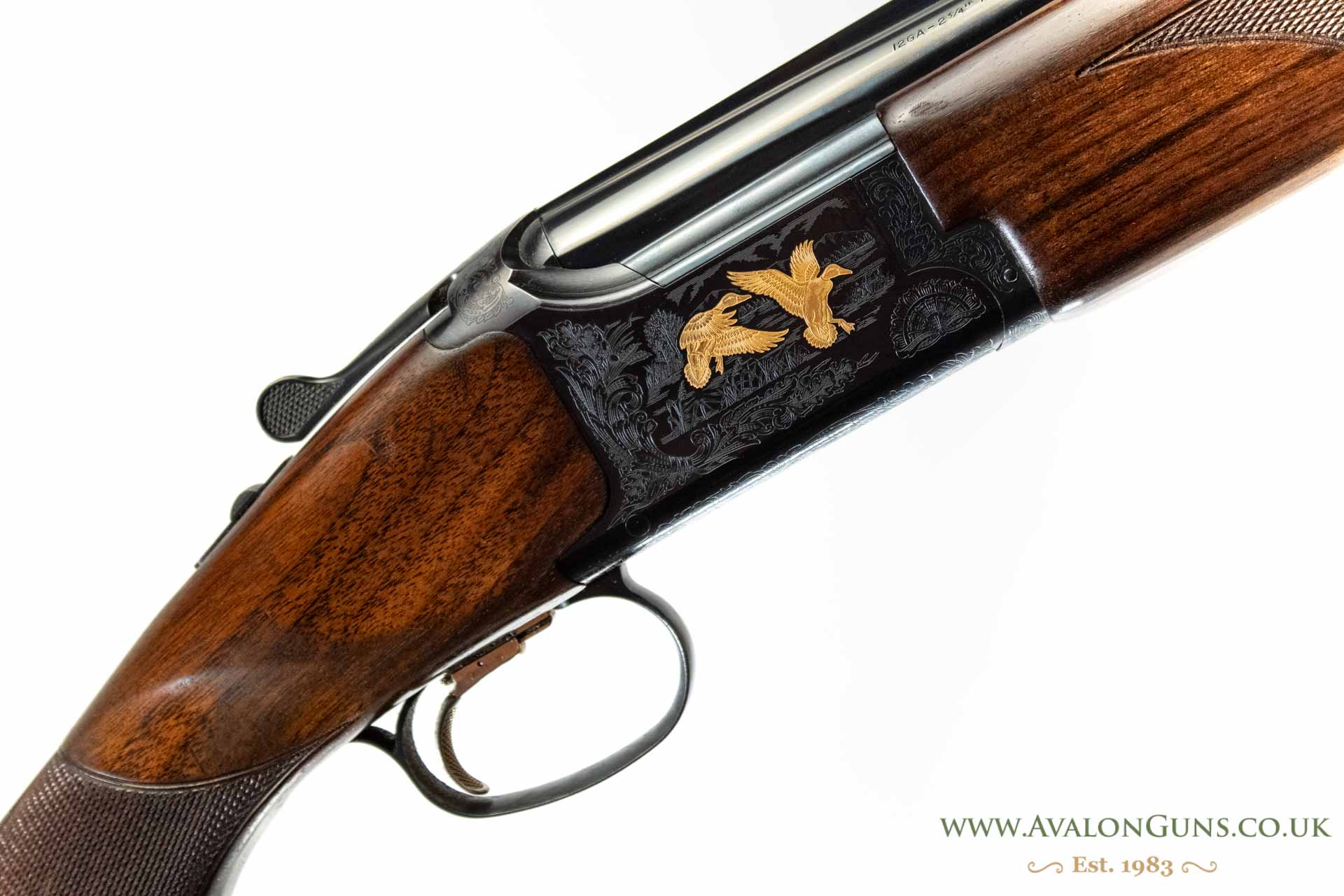 Gun_Image