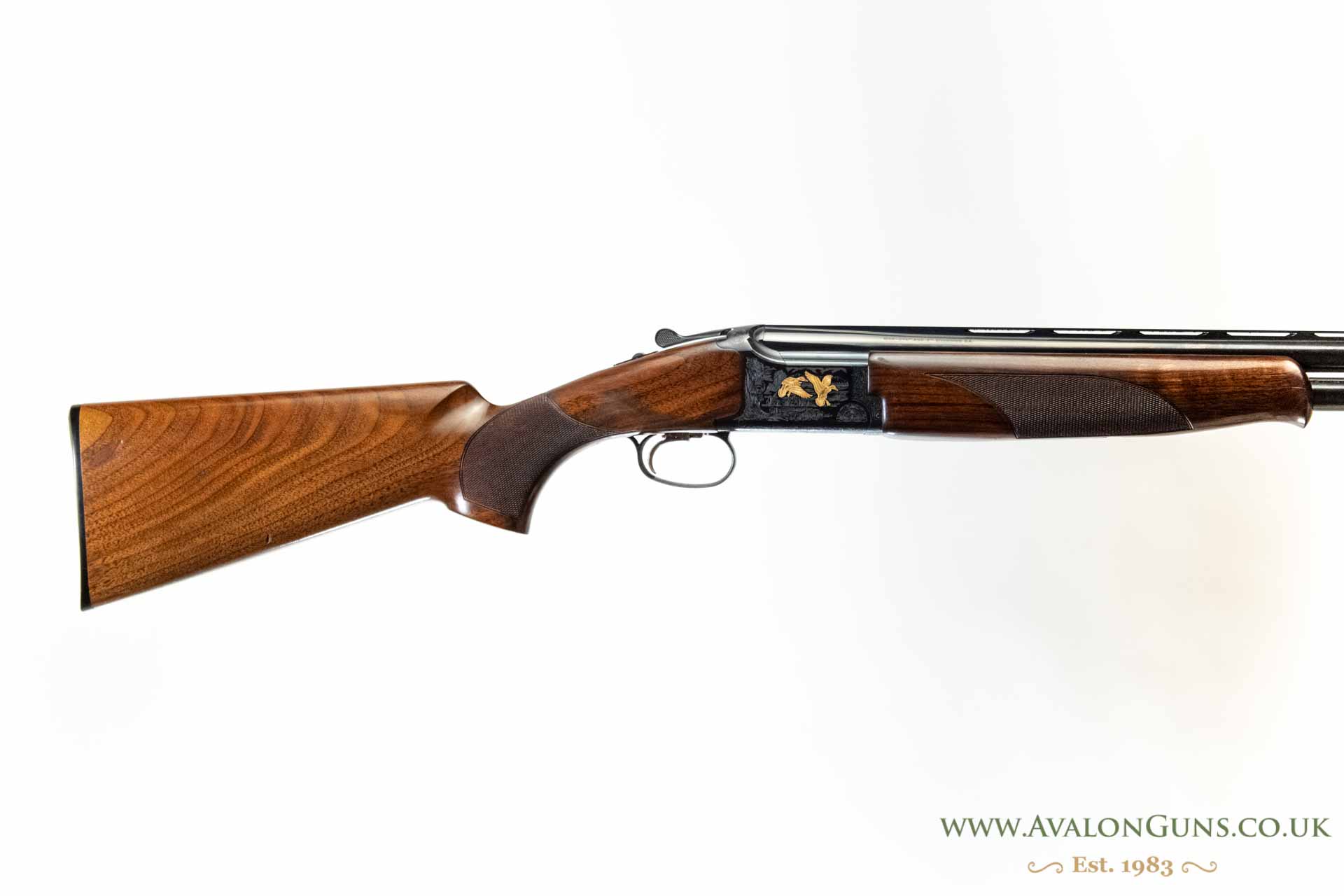 Gun_Image