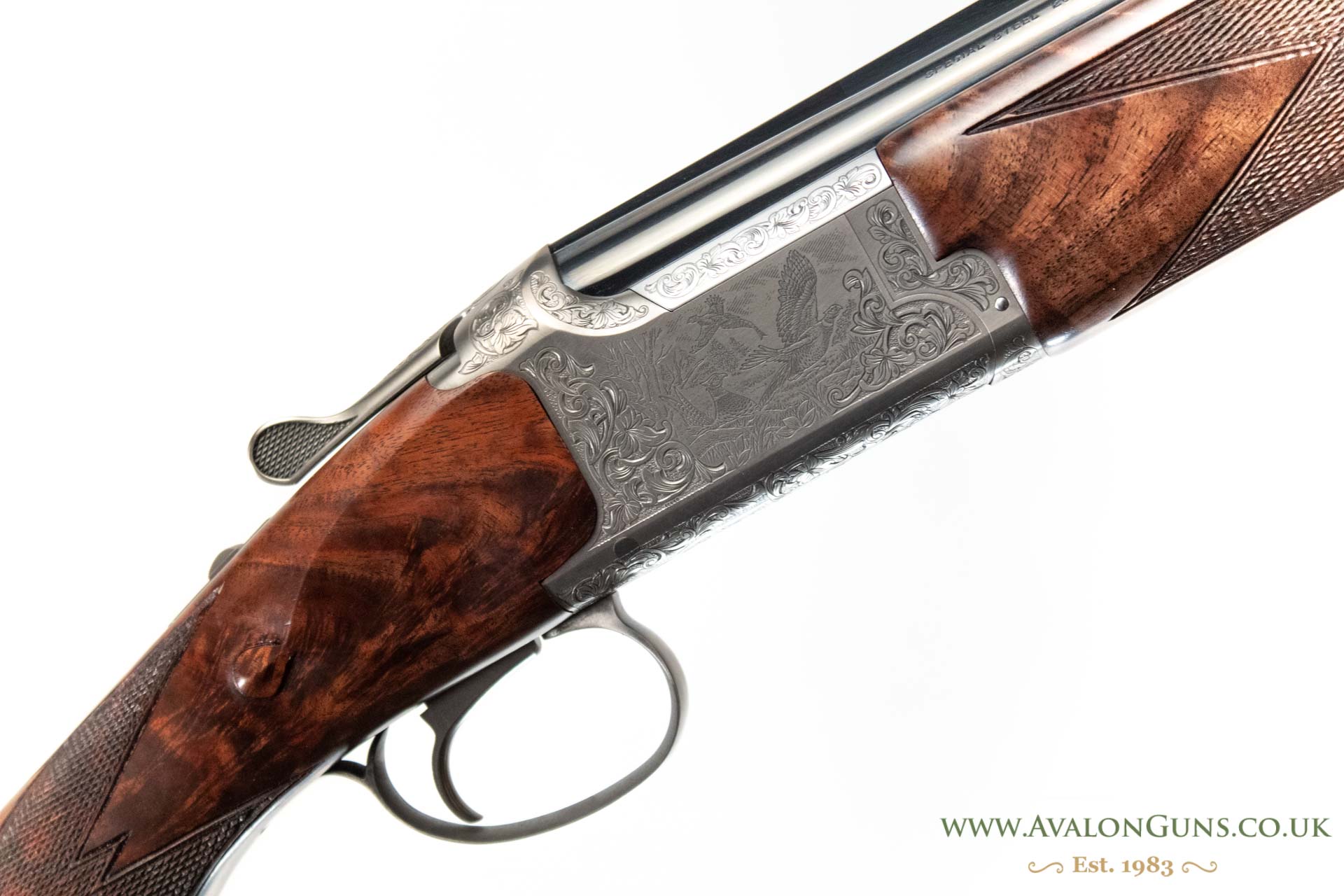 Gun_Image