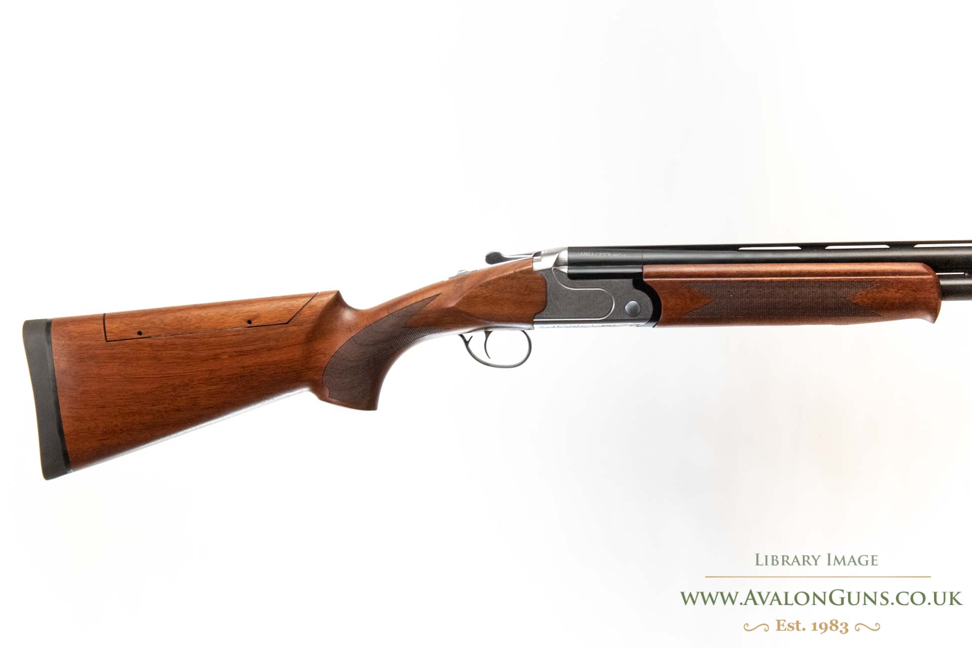 Gun_Image