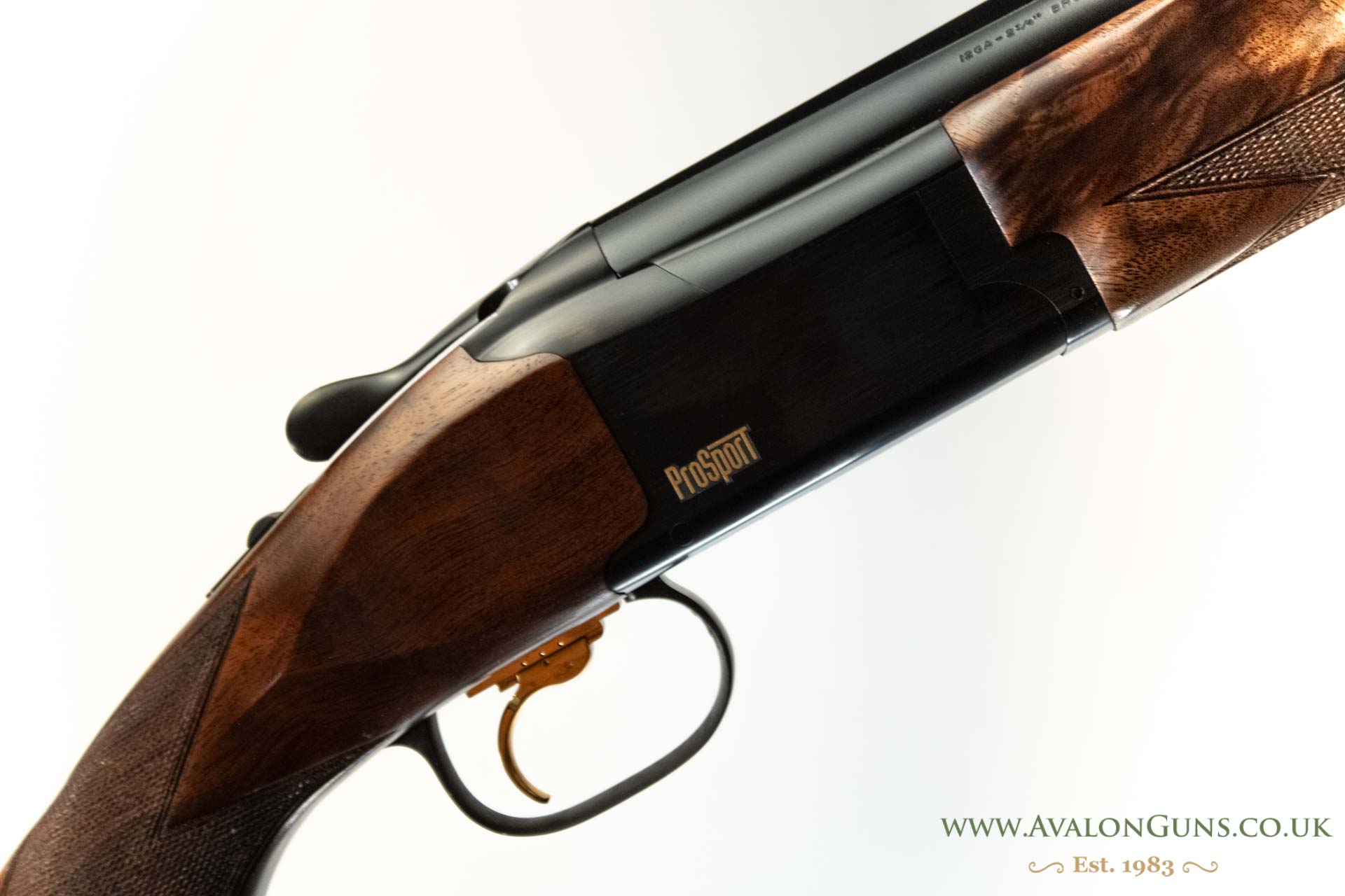 Gun_Image