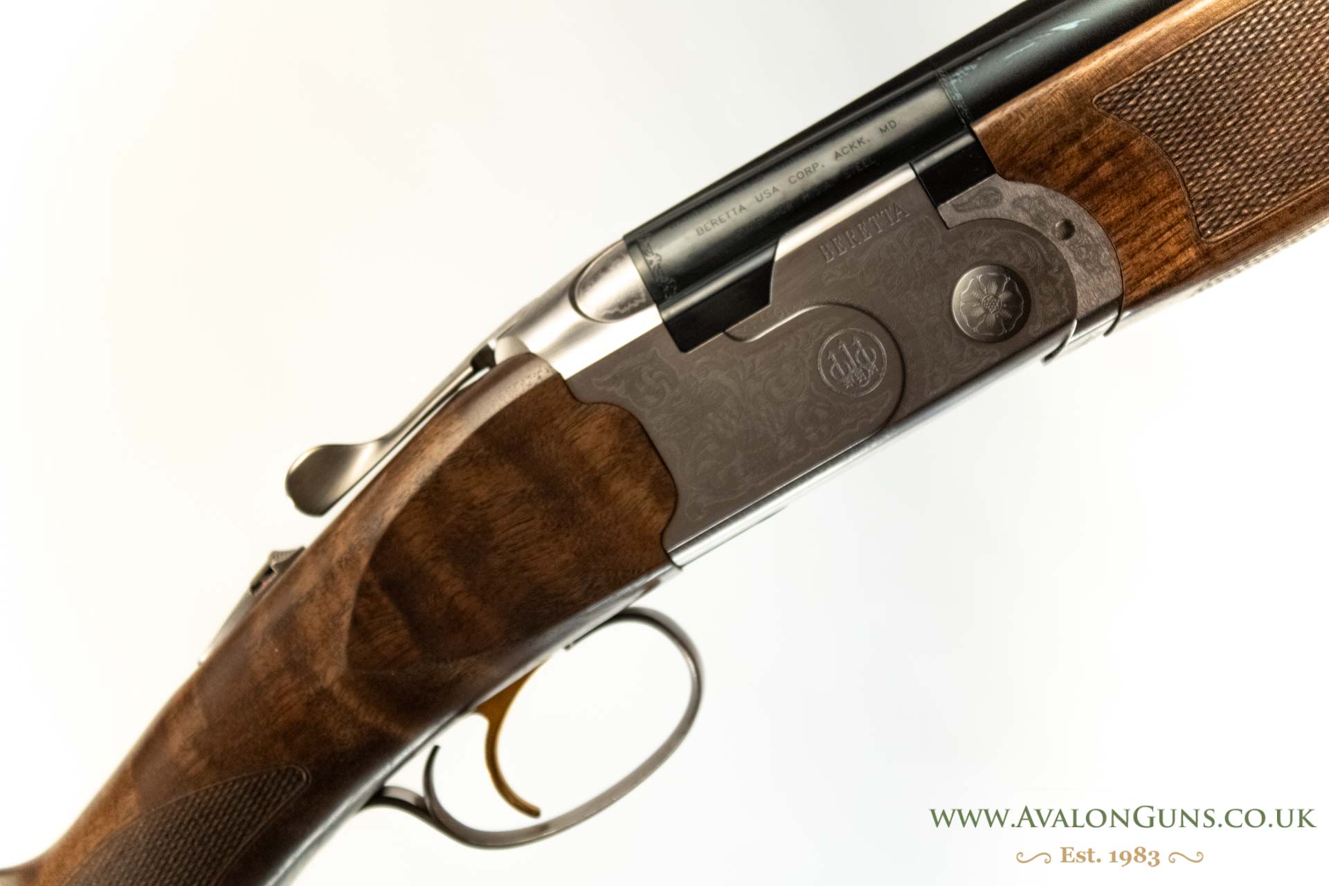 Gun_Image