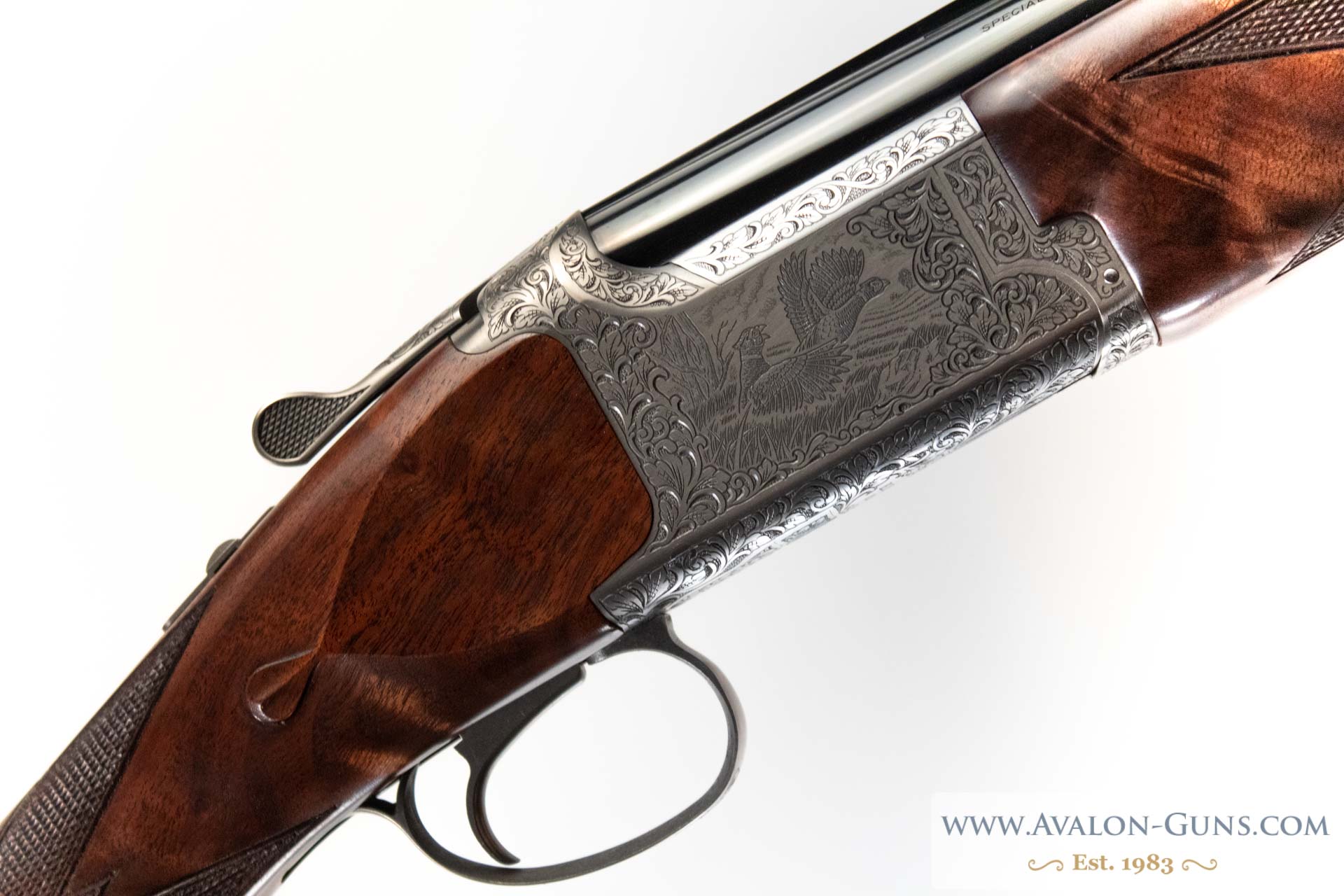 Gun_Image