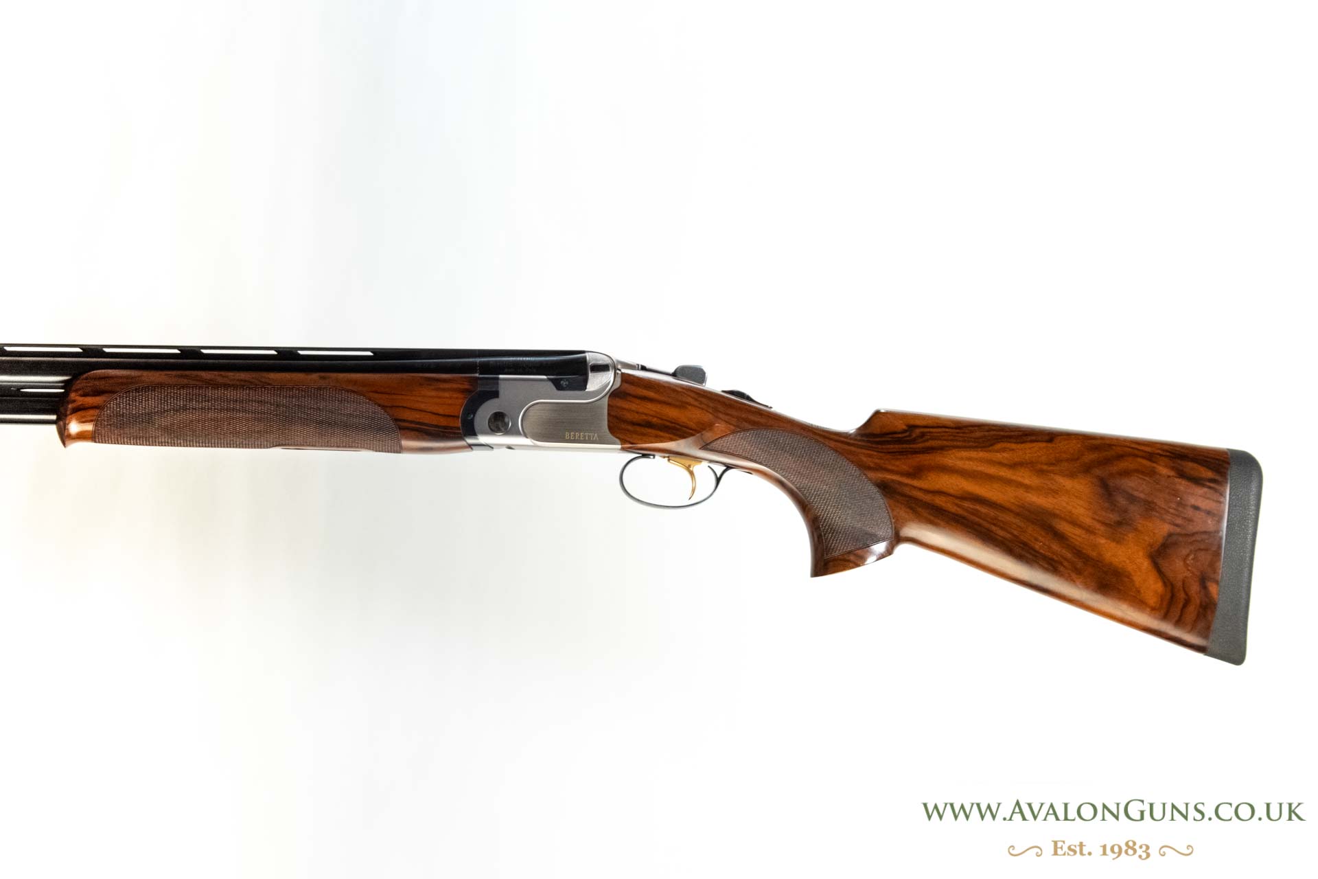 Beretta DT10