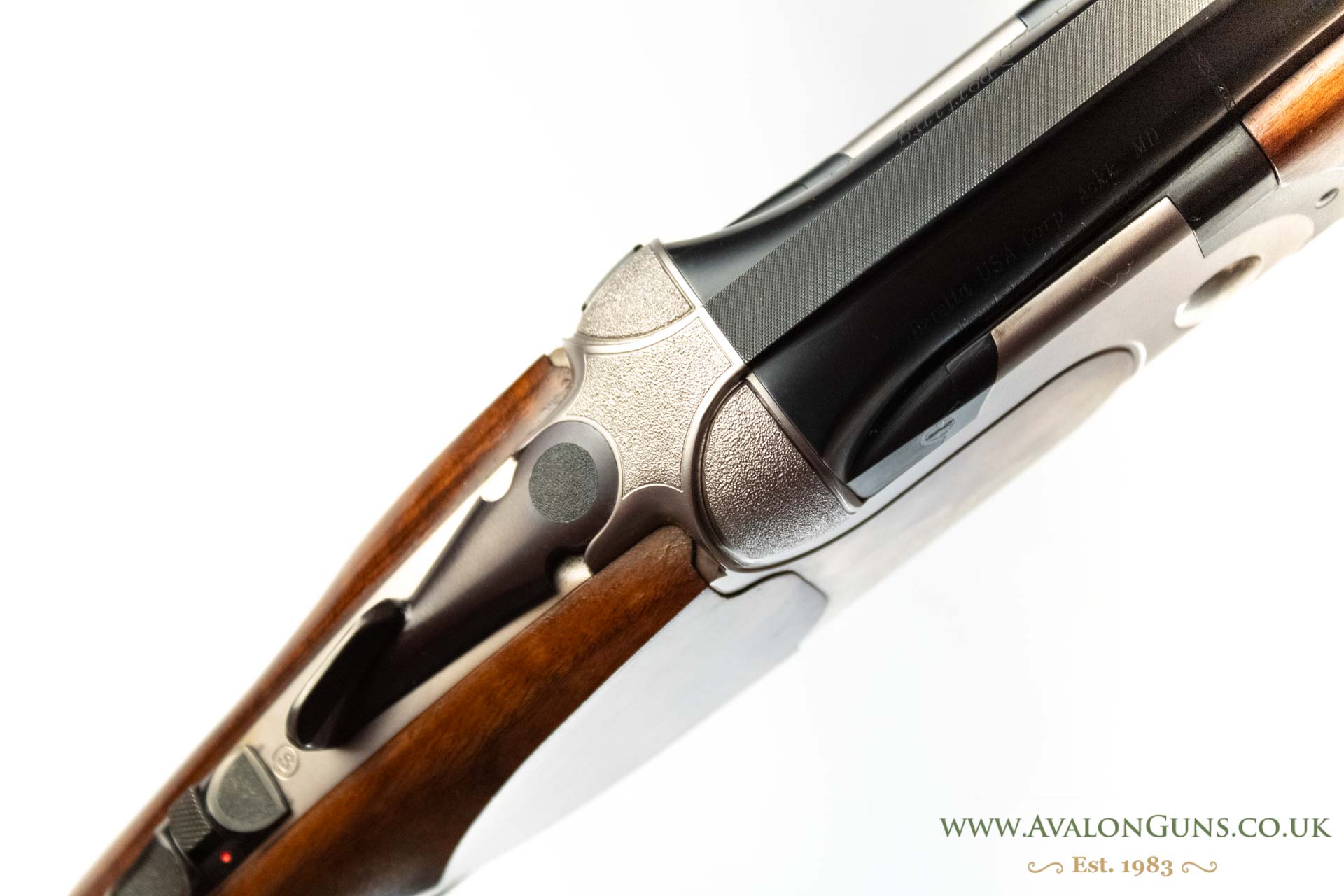 Beretta DT10