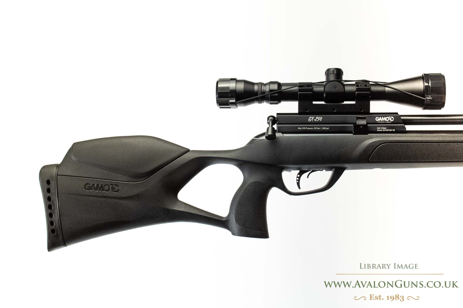 Gun_Image