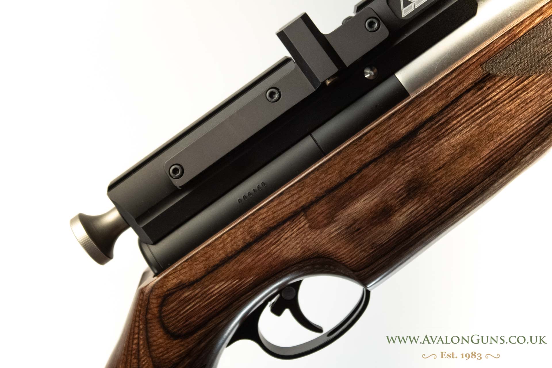 Gun_Image