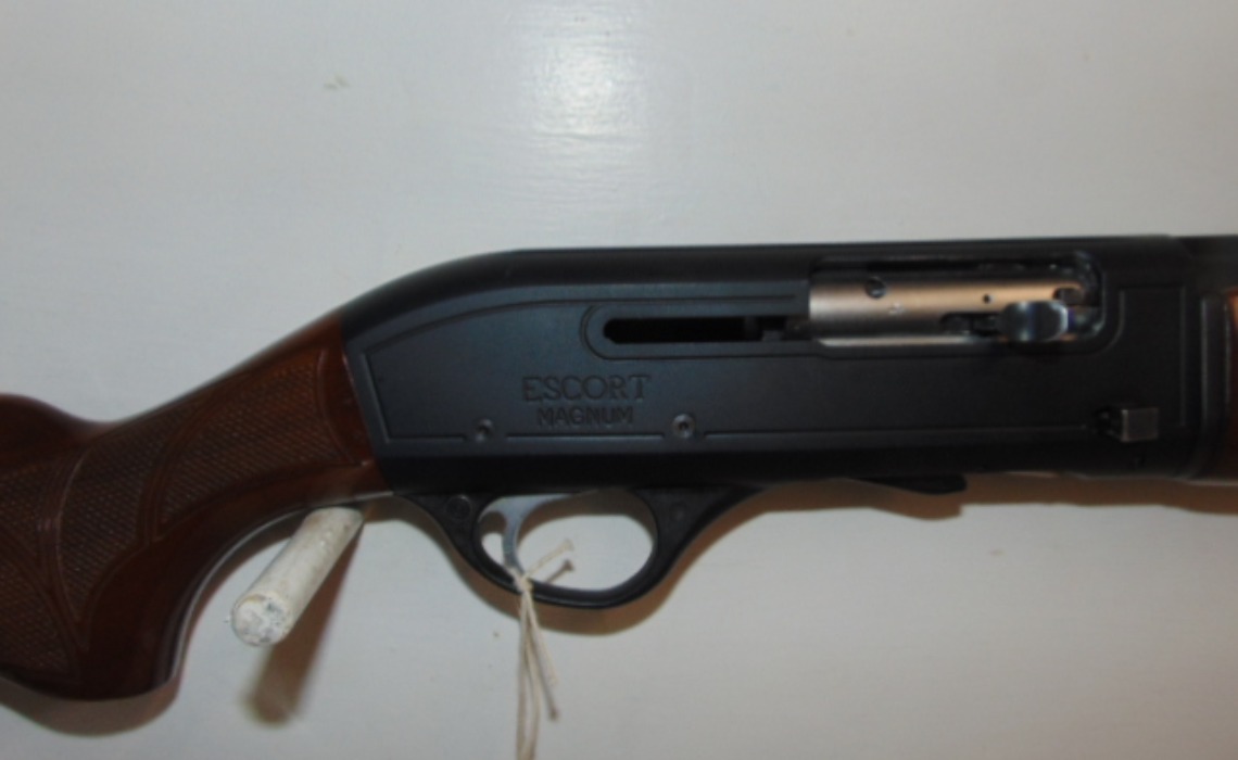 Gun_Image