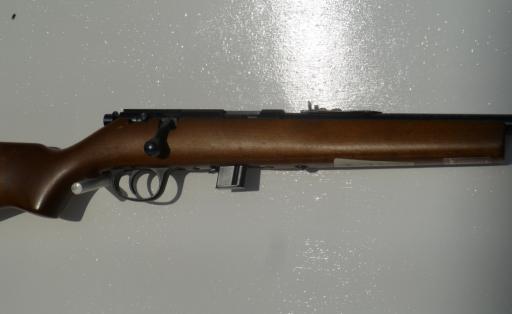 Firearm: Marlin 25N 
