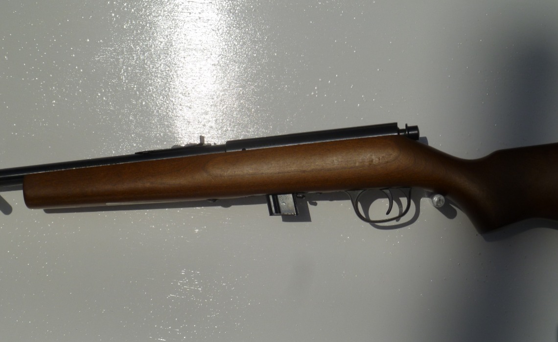 Marlin 25N