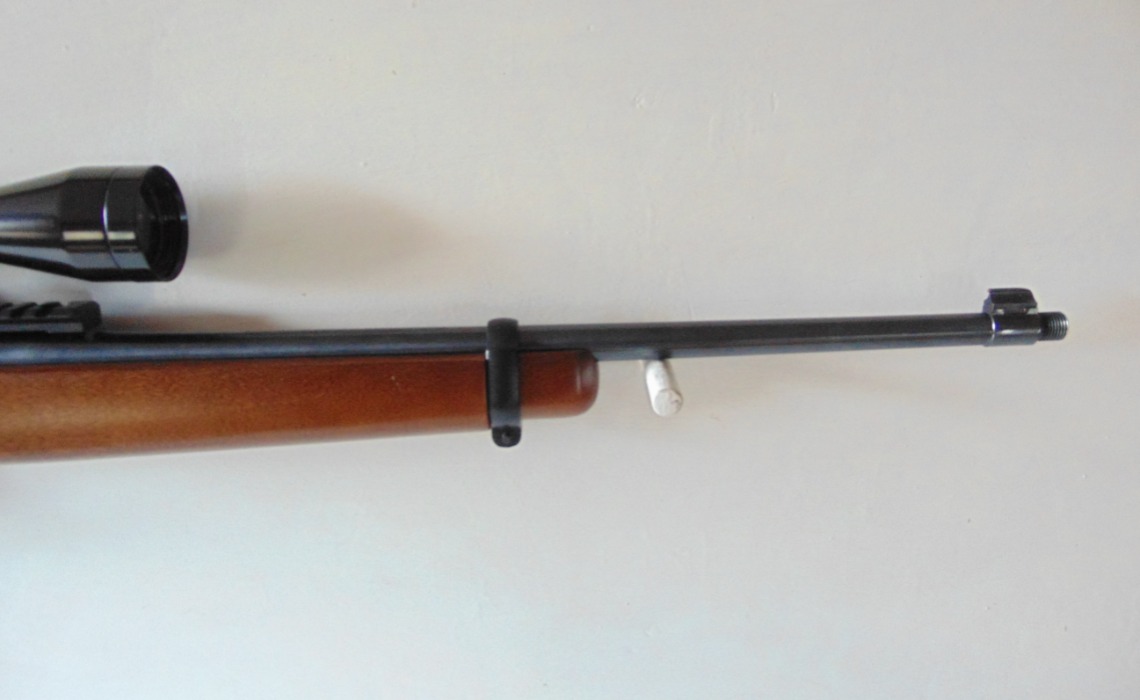 Ruger 10-22