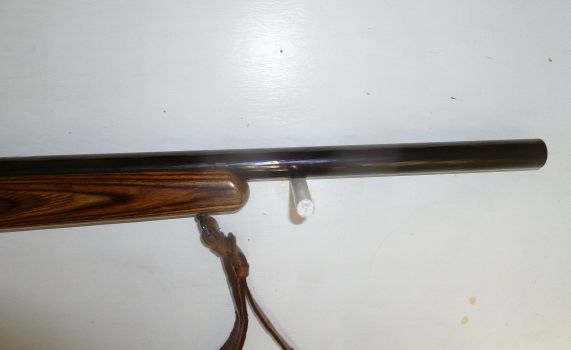 Ruger 10-22
