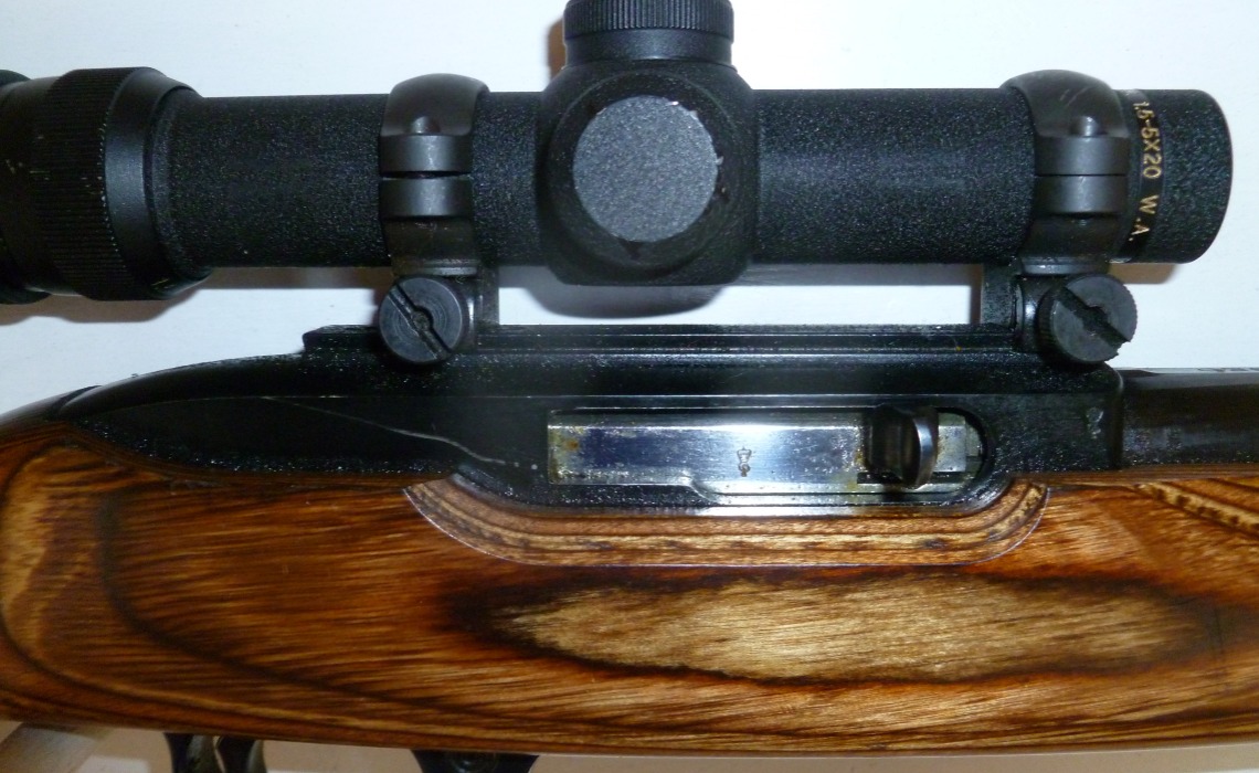 Ruger 10-22