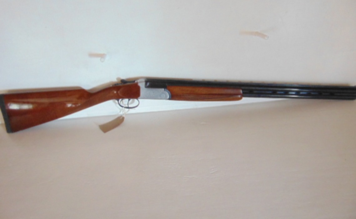 Gun_Image