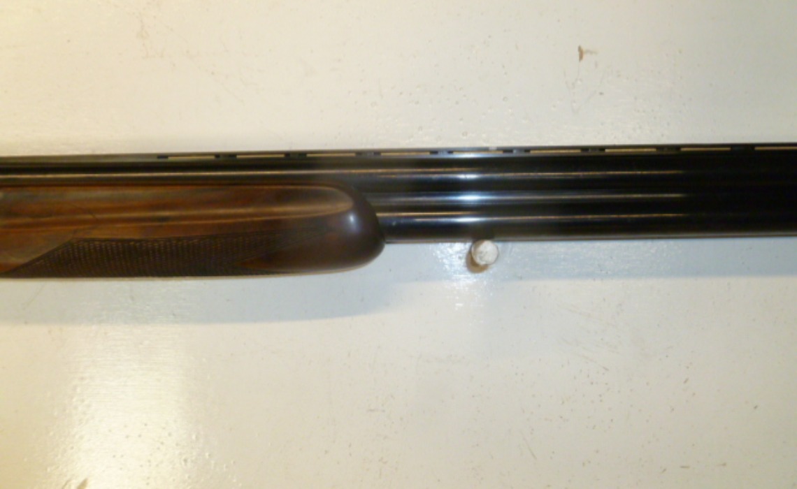 Sarriutarte F General