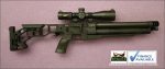 Gun_Image