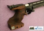 Steyr Evo10