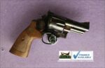 Umarex M29