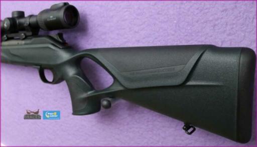 Firearm: Blaser R8 Professional success