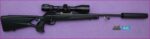 Blaser R8