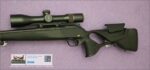 DEFAULT_GUN