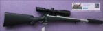 Gun_Image