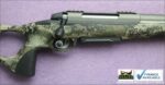 Gun_Image