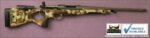 Gun_Image