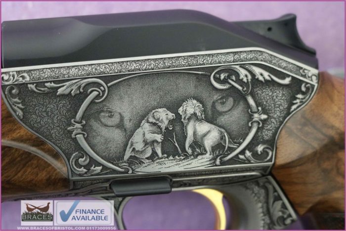 Gun_Image