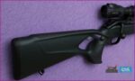 Gun_Image