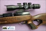 Gun_Image