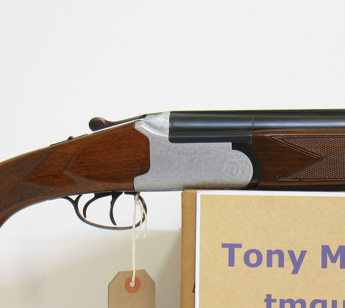 Gun_Image