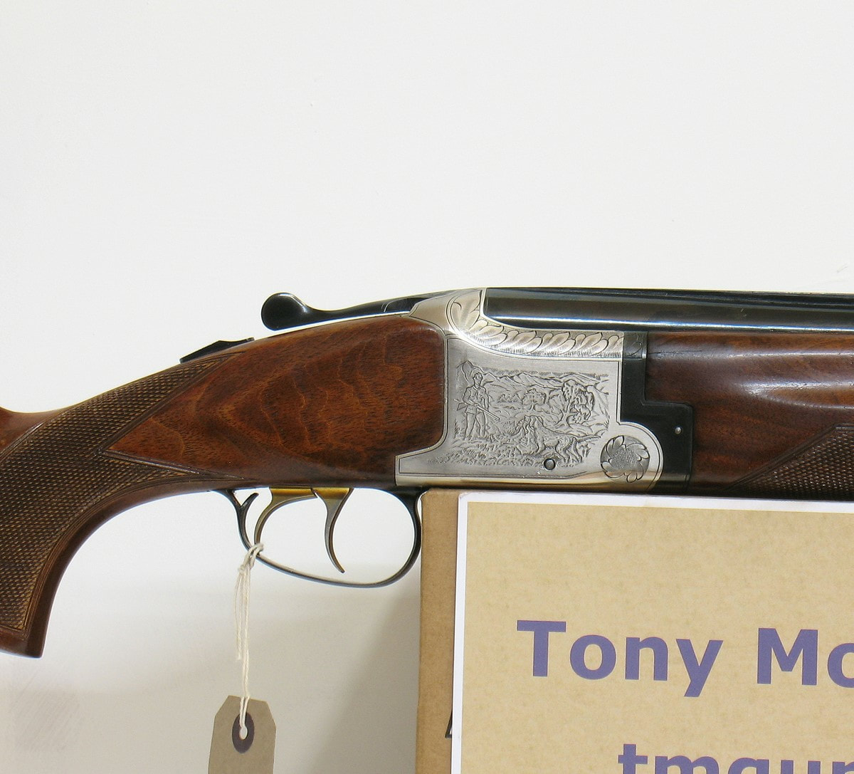 Gun_Image