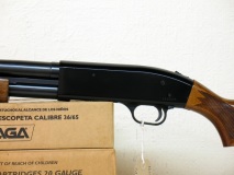 Gun_Image