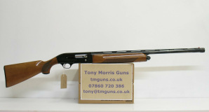Beretta A301