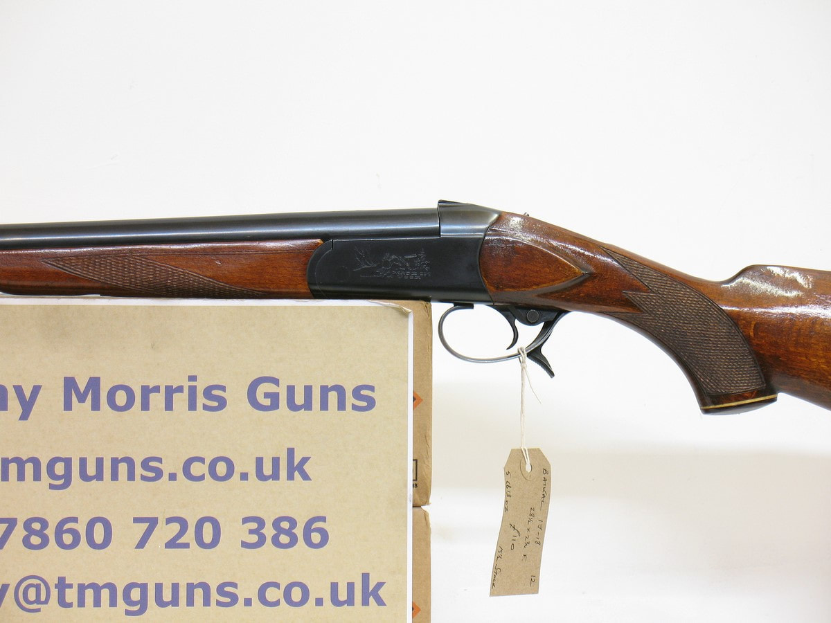 Gun_Image