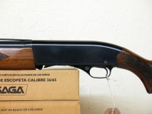 Gun_Image