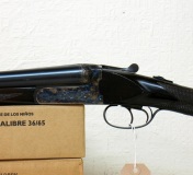 Gunmark Harrier