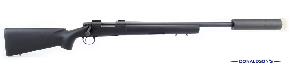 Firearm: Ruger 10-22 Custom