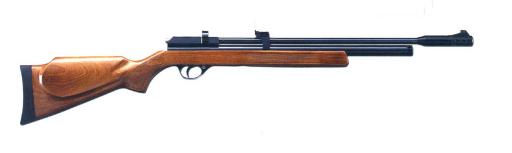 DEFAULT_GUN