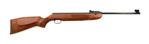 DEFAULT_GUN
