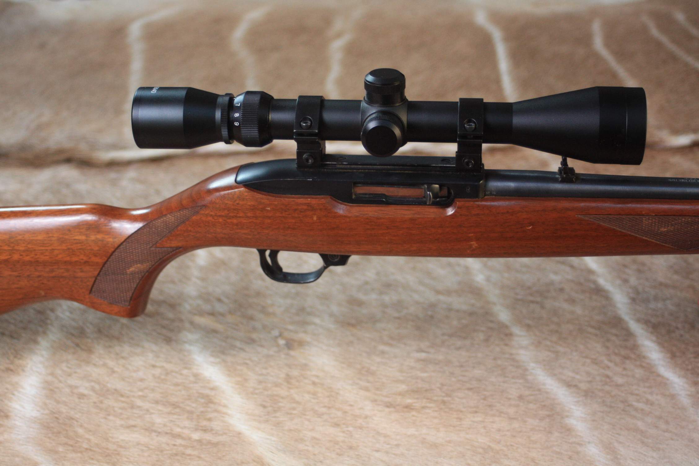 Ruger 10-22
