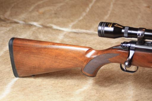 Firearm: Ruger 10-22 