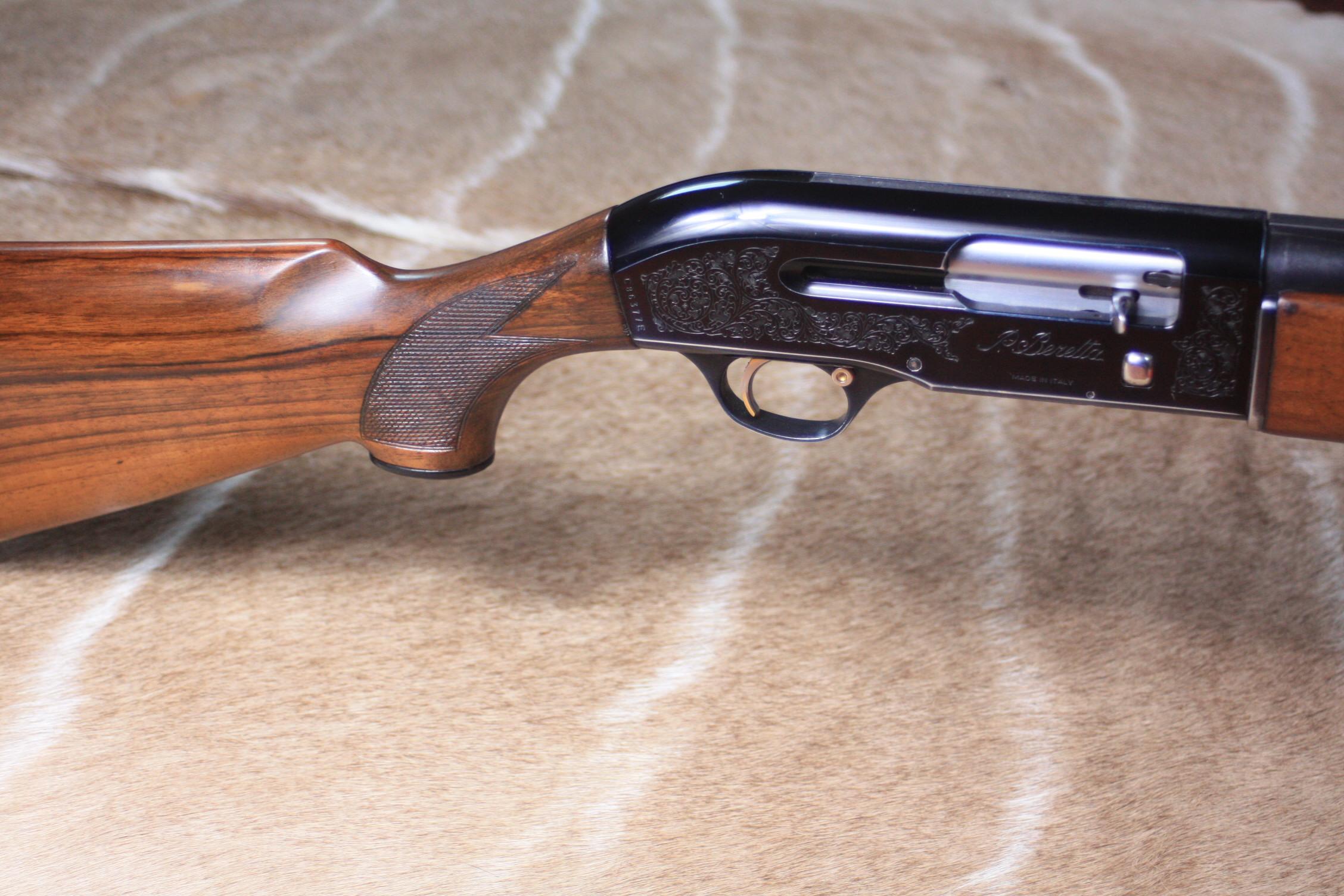 Beretta A301