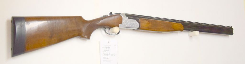 Gun_Image