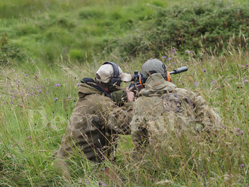 Deer stalking in Dorset with Deer Central