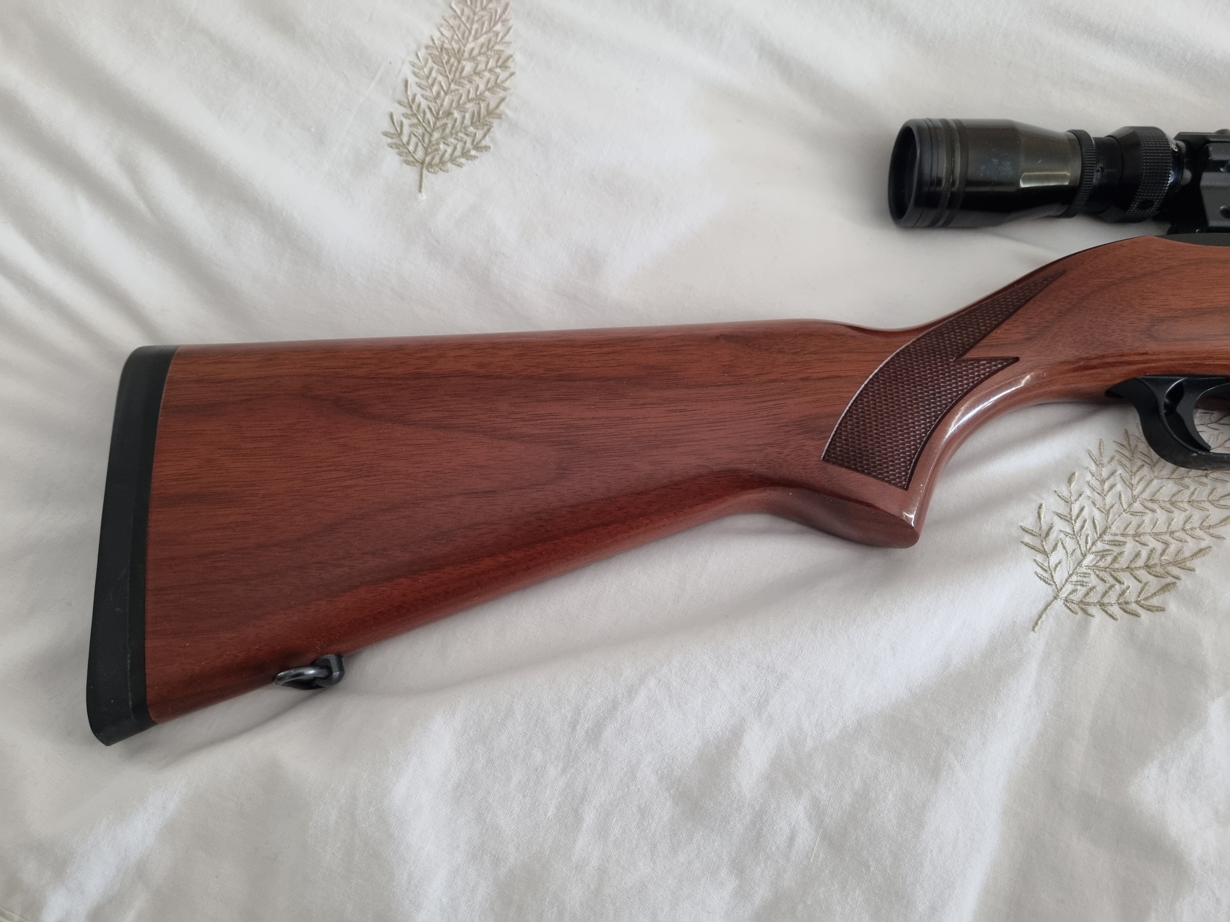 Ruger 10-22