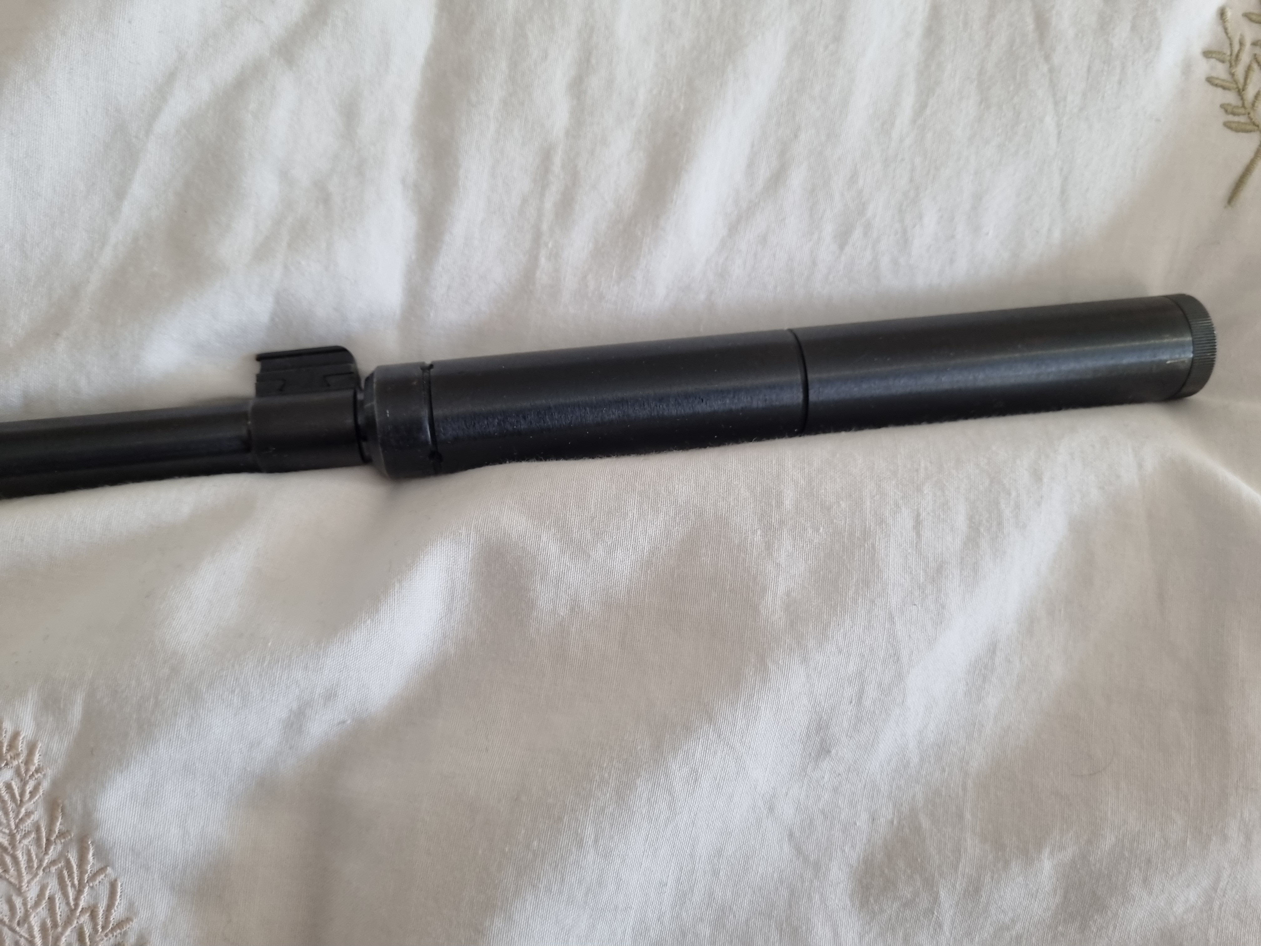 Ruger 10-22
