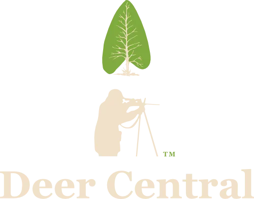 Deer and wildlife watching experience